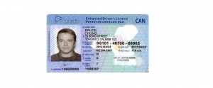 Chung Bruce License